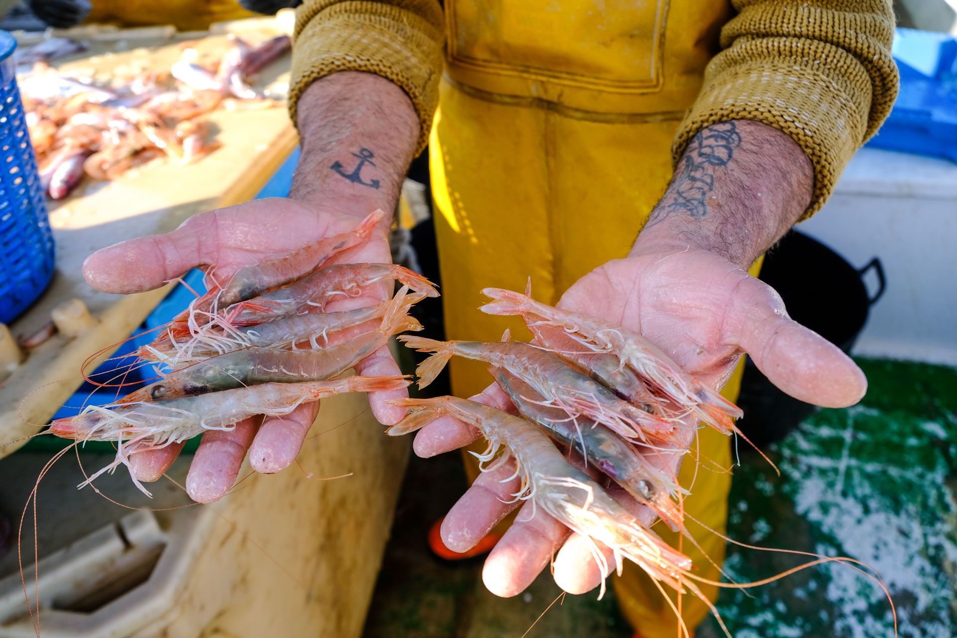 La pesca de arrastre, un oficio en peligro de extinción