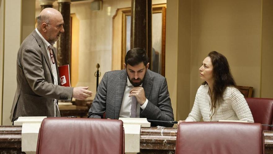 Álvarez-Castellanos, de IU-V, nuevo portavoz del Grupo Mixto hasta verano, cuando cederá el testigo a Antelo