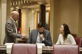 Álvarez-Castellanos, de IU-V, nuevo portavoz del Grupo Mixto hasta verano, cuando cederá el testigo a Antelo