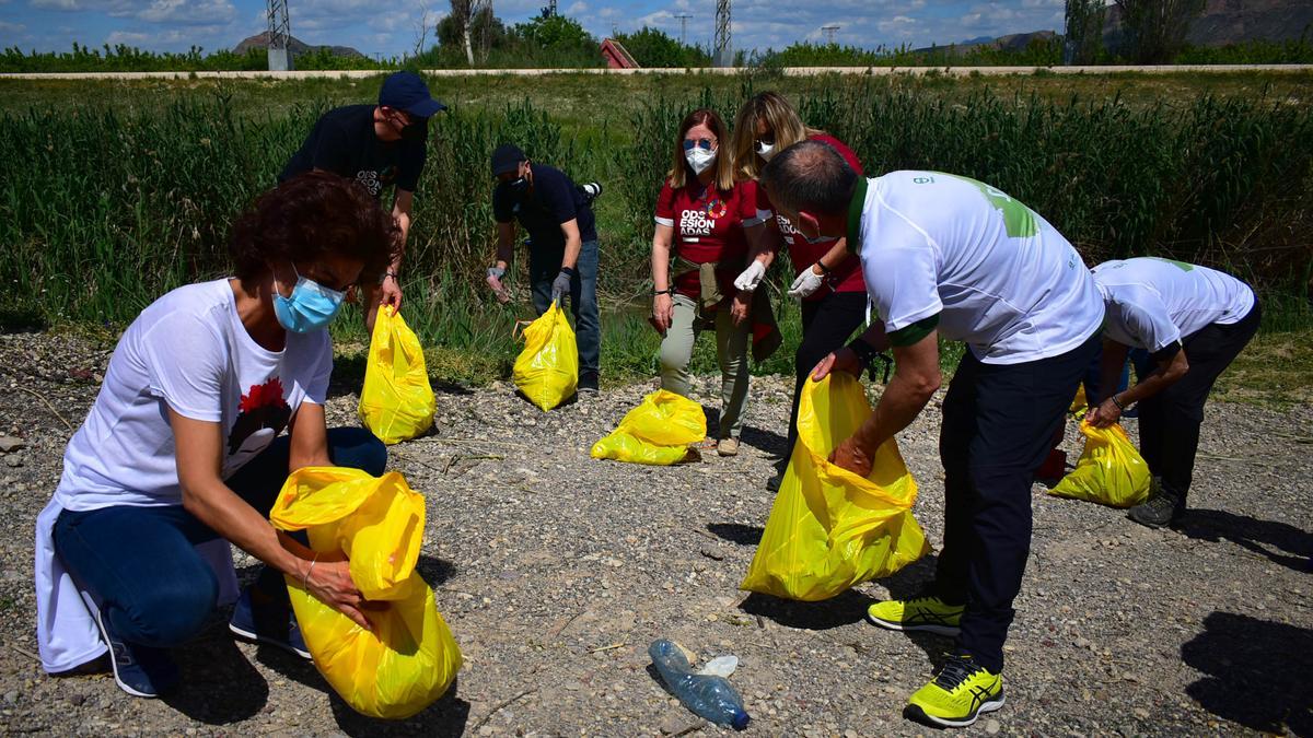 Limpieza del cauce del río Segura