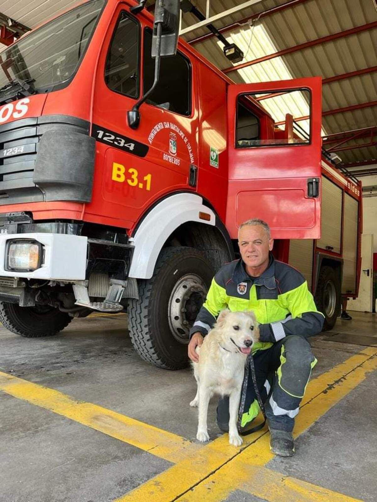 Perro rescatado de un depósito vacío en el municipio de San Bartolomé de Tirajana