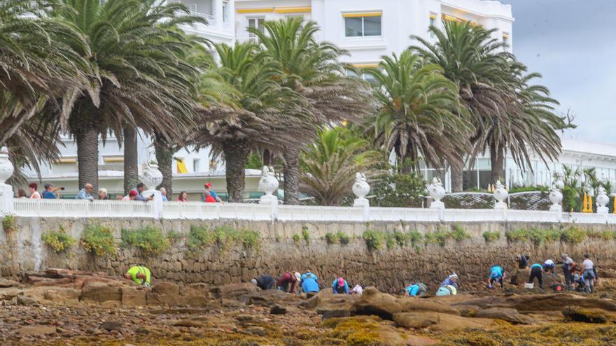 Libran la enésima batalla contra la basura marina