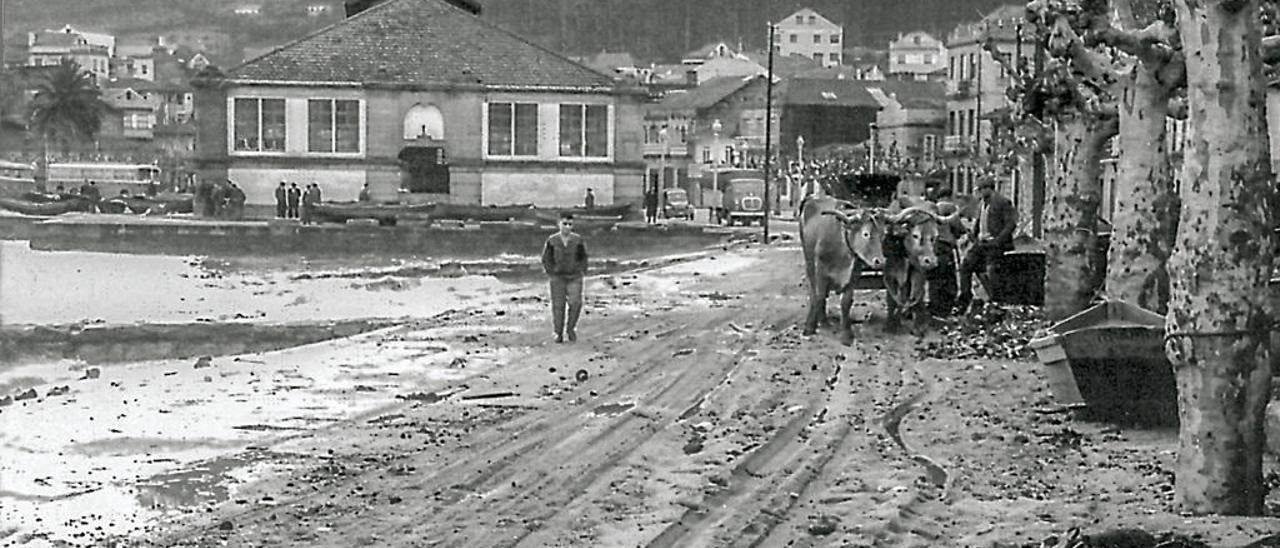 Imaxe de carros e carreteiros limpando a antiga praia do Señal. // Foto Santoro