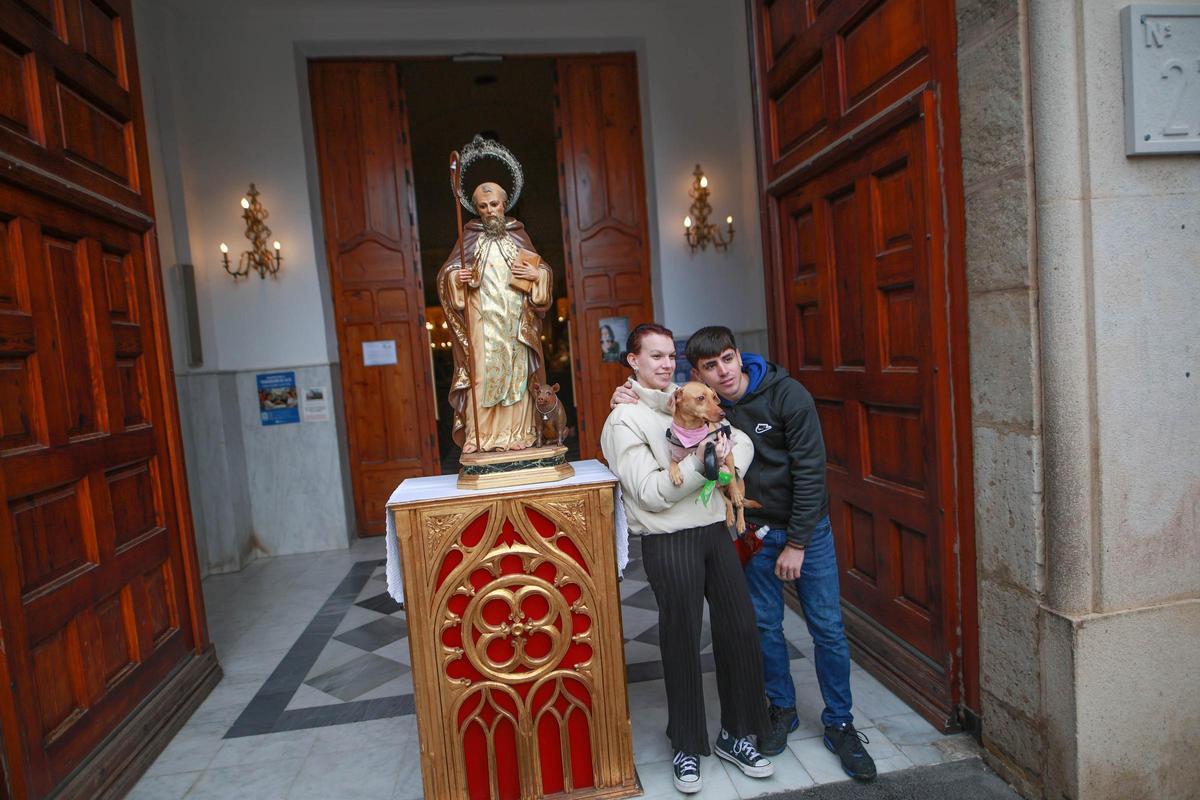 Las mejores imágenes de la bendición de animales de San Antón en Amoradí 2026 están aquí