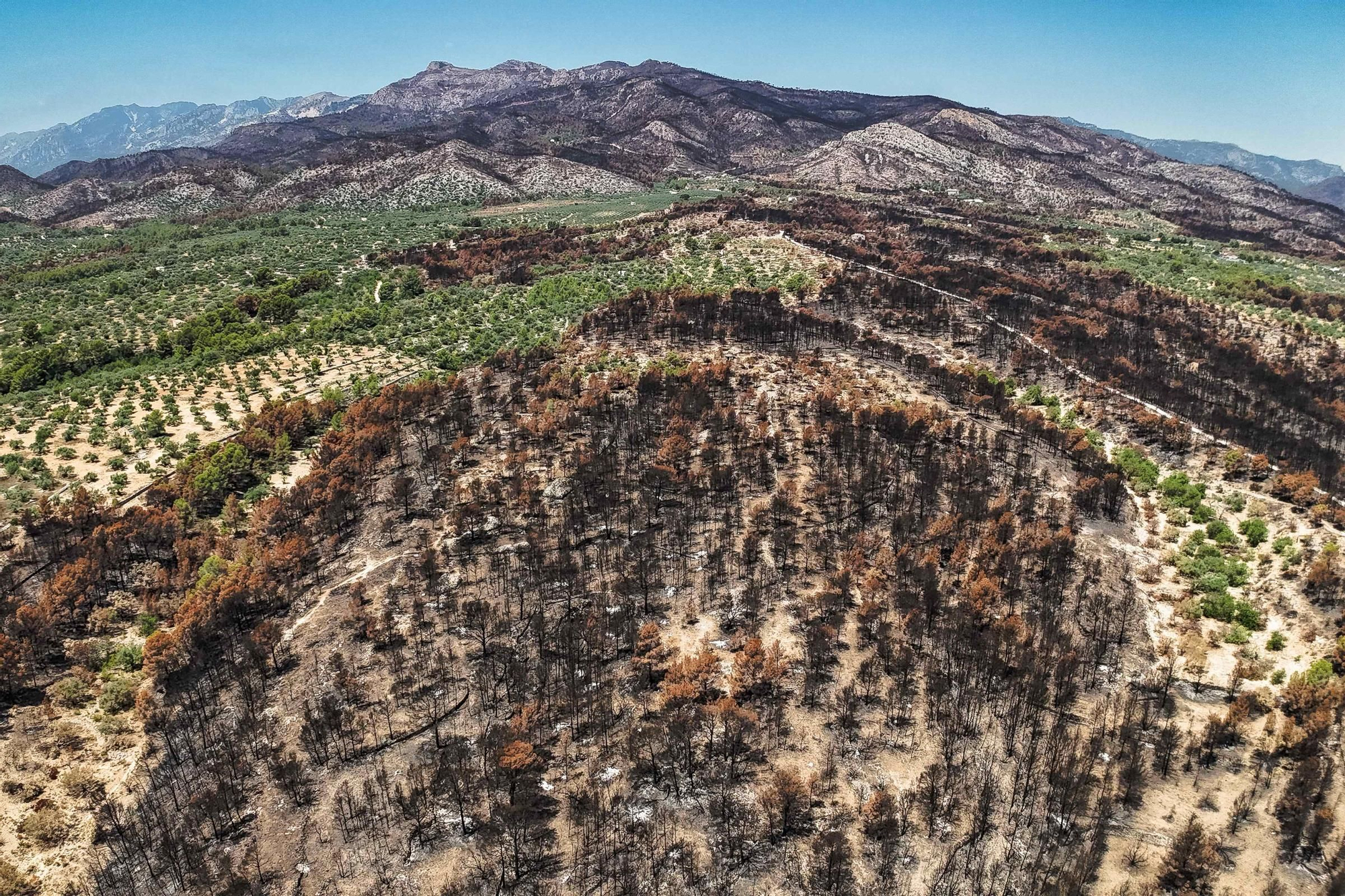Les fotos de l'incendi de Paüls a vista de dron