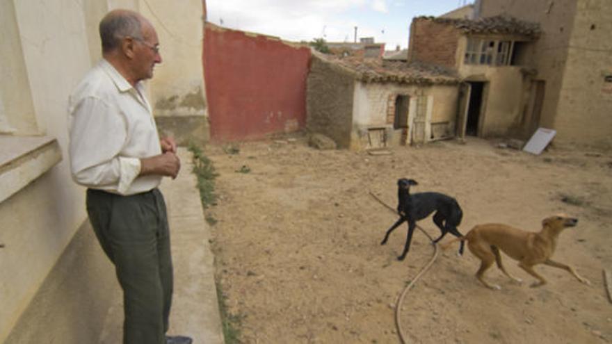 José Osorio en el corral de la vivienda donde mantiene a «Rumba» (izquierda) y «Puma».