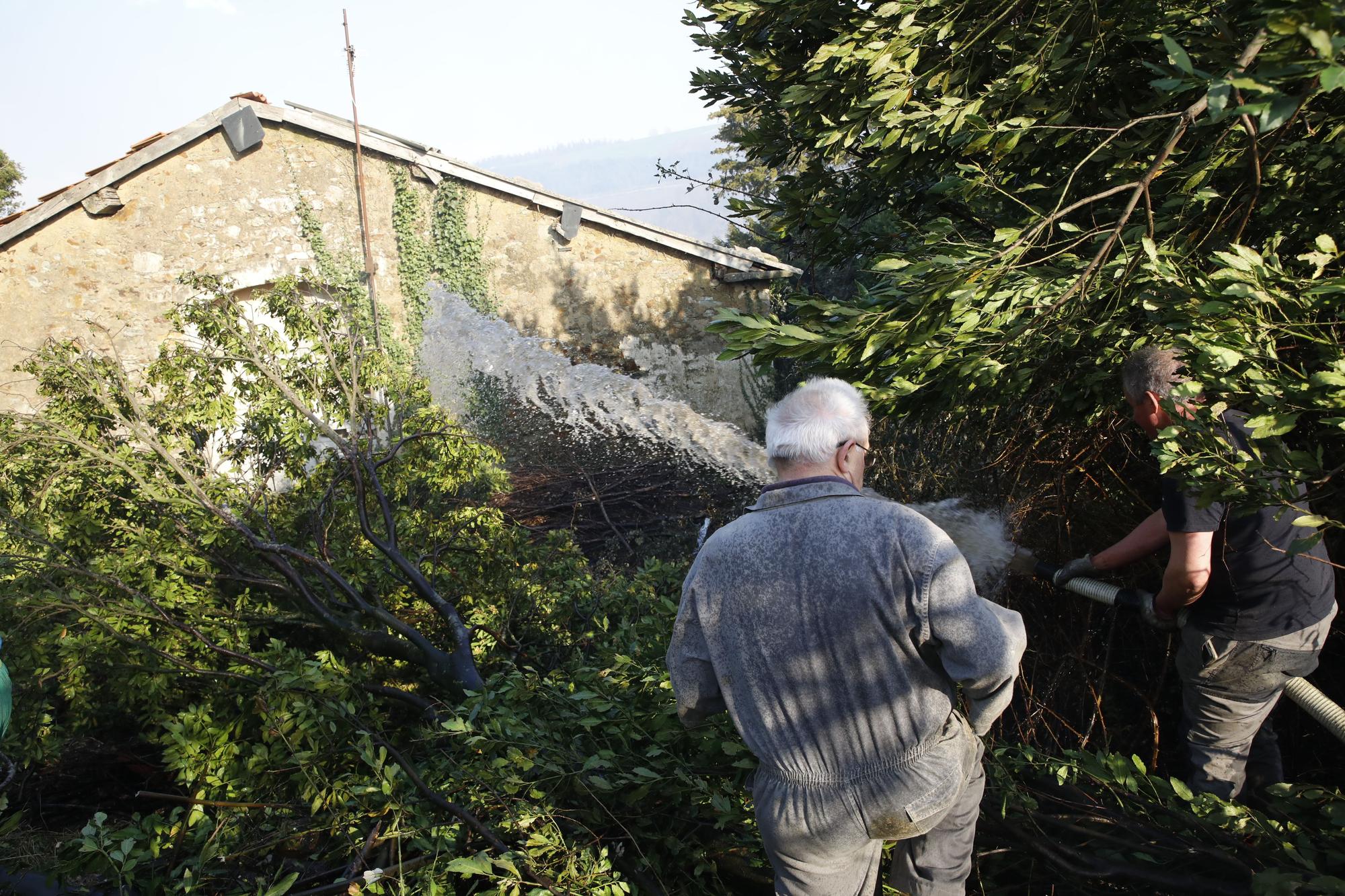 Las imágenes del preocupante incendio en Tineo