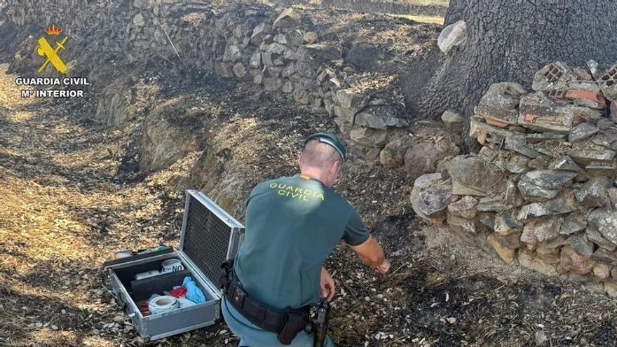 Investigan al presunto autor del incendio forestal en un paraje de Herrera del Duque