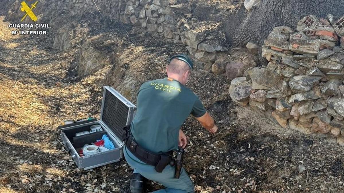 Agente de la Guardia Civil, tomando muestras en el lugar del incendio.