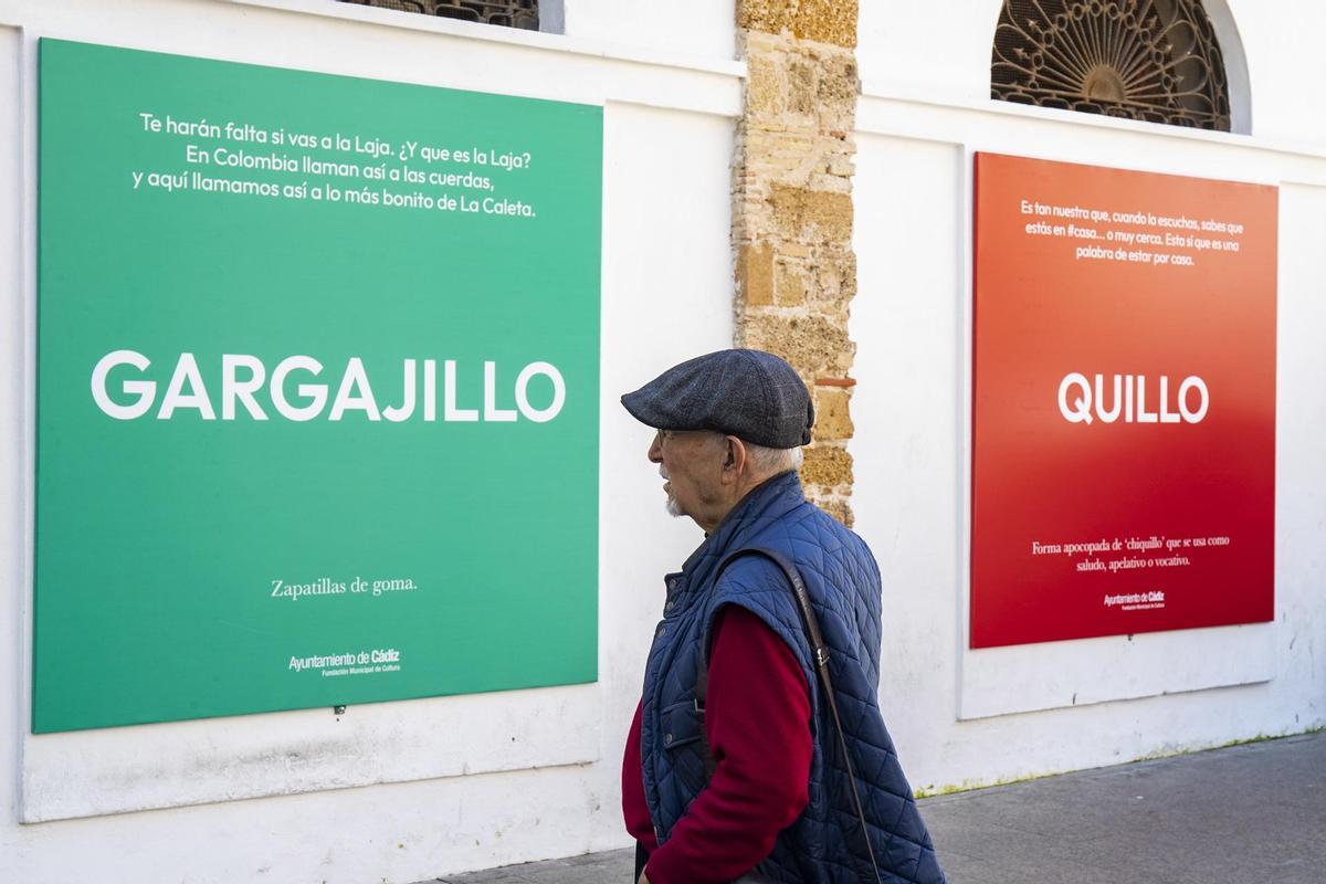 Sieso, cursi, malaje, quillo, jartible, biruji, al liquindoi, mandao o bastinazo son parte de las decenas de palabras con las que el español se ha reinventado y ensanchado en Cádiz, y con las que la ciudad se ha engalanado para recibir al IX Congreso Internacional del la Lengua Española.