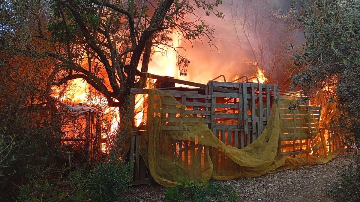 Chabolas envueltas en llamas esta tarde en Son Serra Parera.
