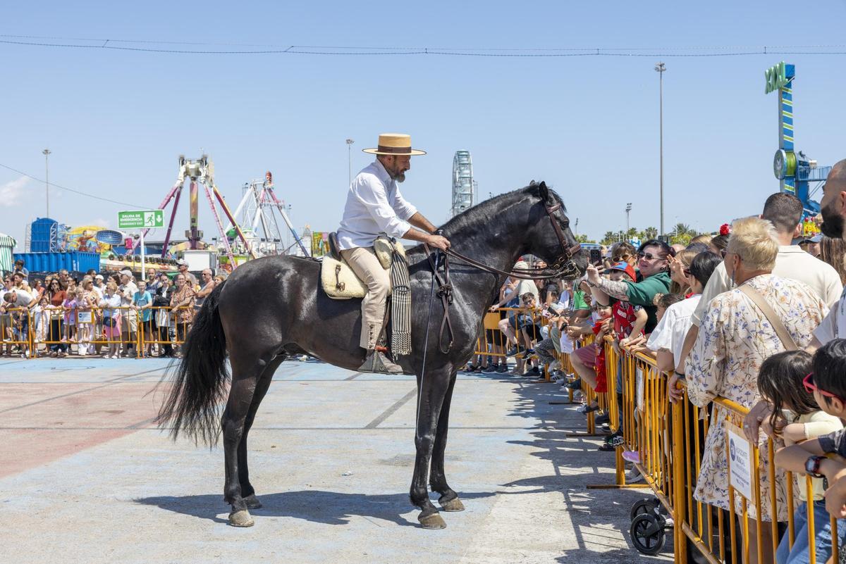 Desfile de carrozas y caballistas de la Feria de Mayo 2026 de Torrevieja este domingo