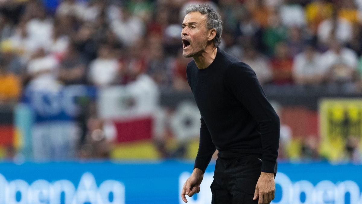 Luis Enrique, en el partido ante Alemania.