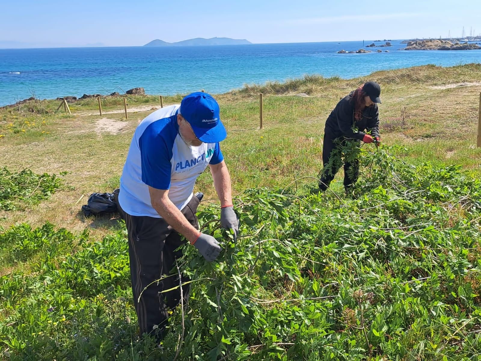 Participantes en la jornada de voluntariado que Abanca y Afundación llevan a cabo esta tarde en la playa grovense de Area da Cruz para eliminar basura marina y especies invasoras.