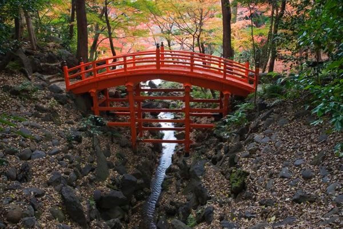 Jardínes Korakuen en Koishikawa