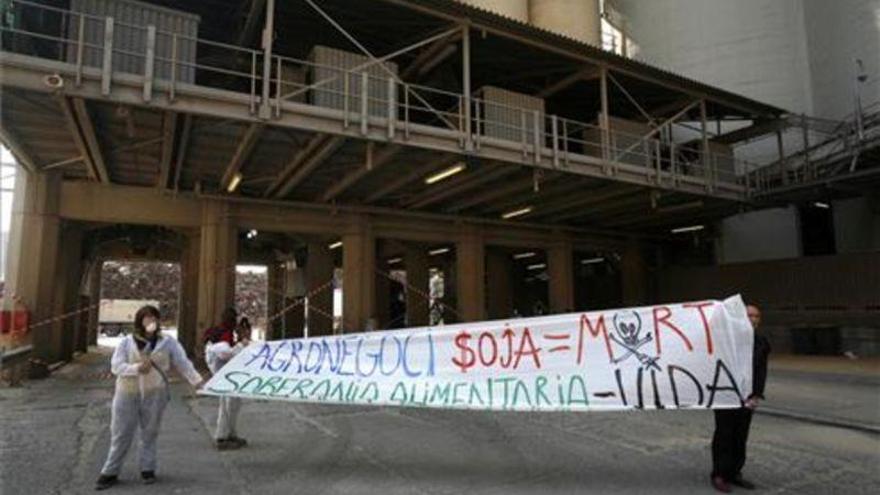 El Tribunal de la UE avala la autorización de venta de alimentos con soja transgénica