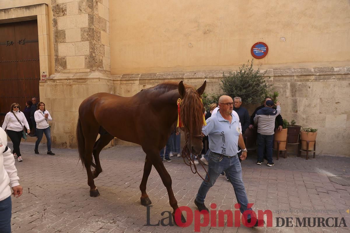 Concurso de caballo a pelo: pasacalles hasta el Hoyo en Caravaca