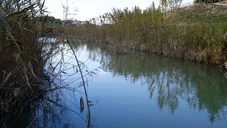 Cauce del río Segura a su paso por Murcia