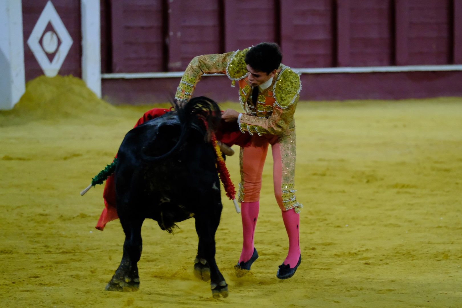 XVI Certamen Internacional de Escuelas Taurinas La Malagueta