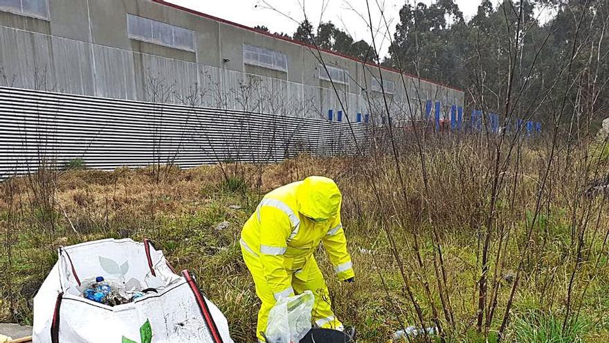 Restos recogidos en el polígono de Sete Pías. | // CEDIDA