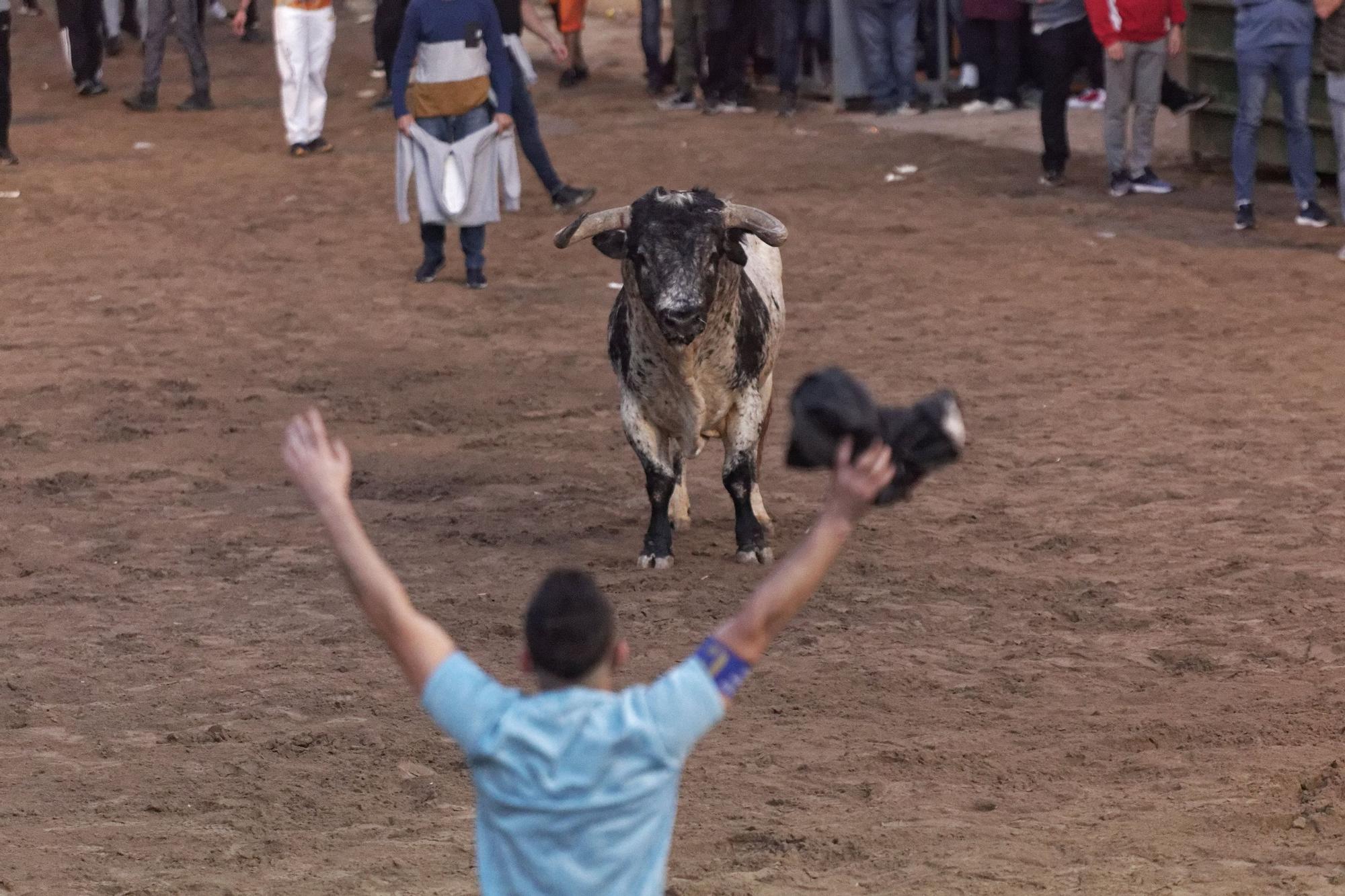 Las mejores fotos del primer día taurino de la Fira d'Onda 2021