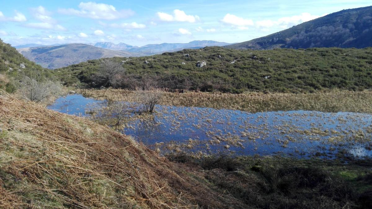 Una de las 282 turberas existentes en la sierra del Escudo, en Cantabria.