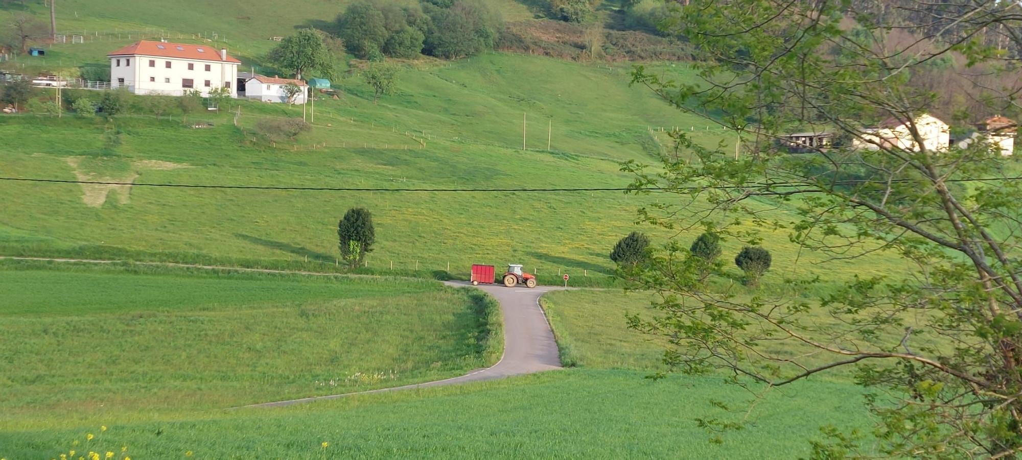 Arlós, un mar de verde en la zona rural de Llanera: así es la parroquia de espectacular paisaje y guardesa de un templo románico