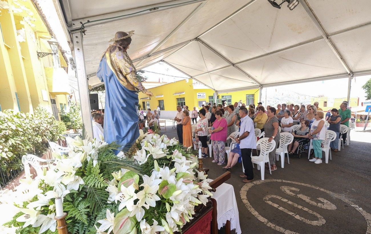 Pino Santo Alto celebra el Día del Caballo