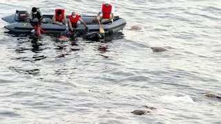 Hundida una lancha turística en Egipto con 45 personas a bordo, en su mayoría extranjeros