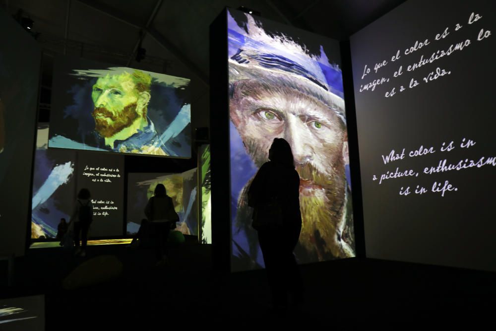 Presentación de  la exposición 'Van Gogh ...