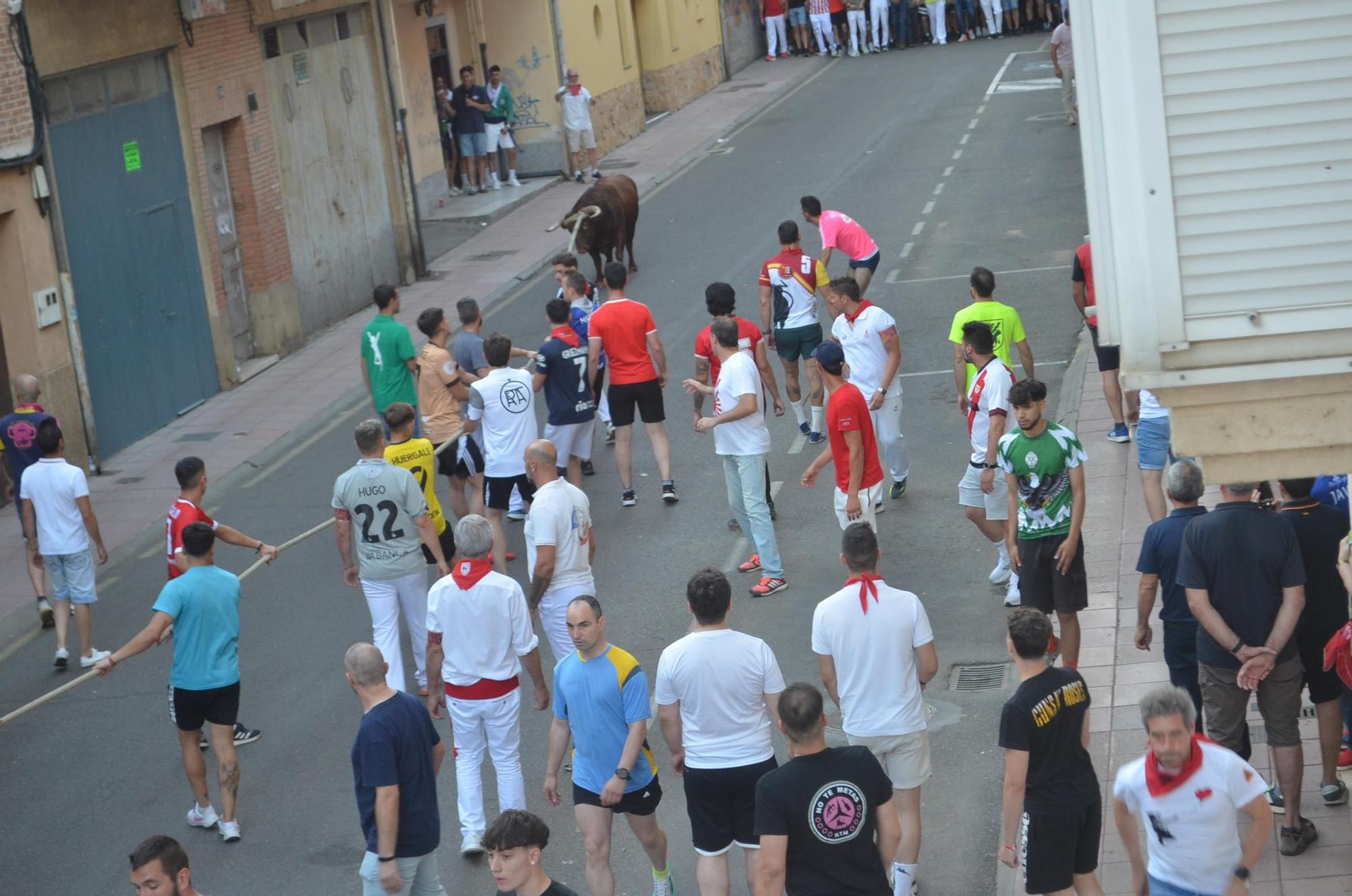 Así ha sido la carrera del torito Espléndido en Benavente