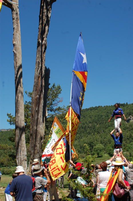 Aplec del Pi de les Tres Branques