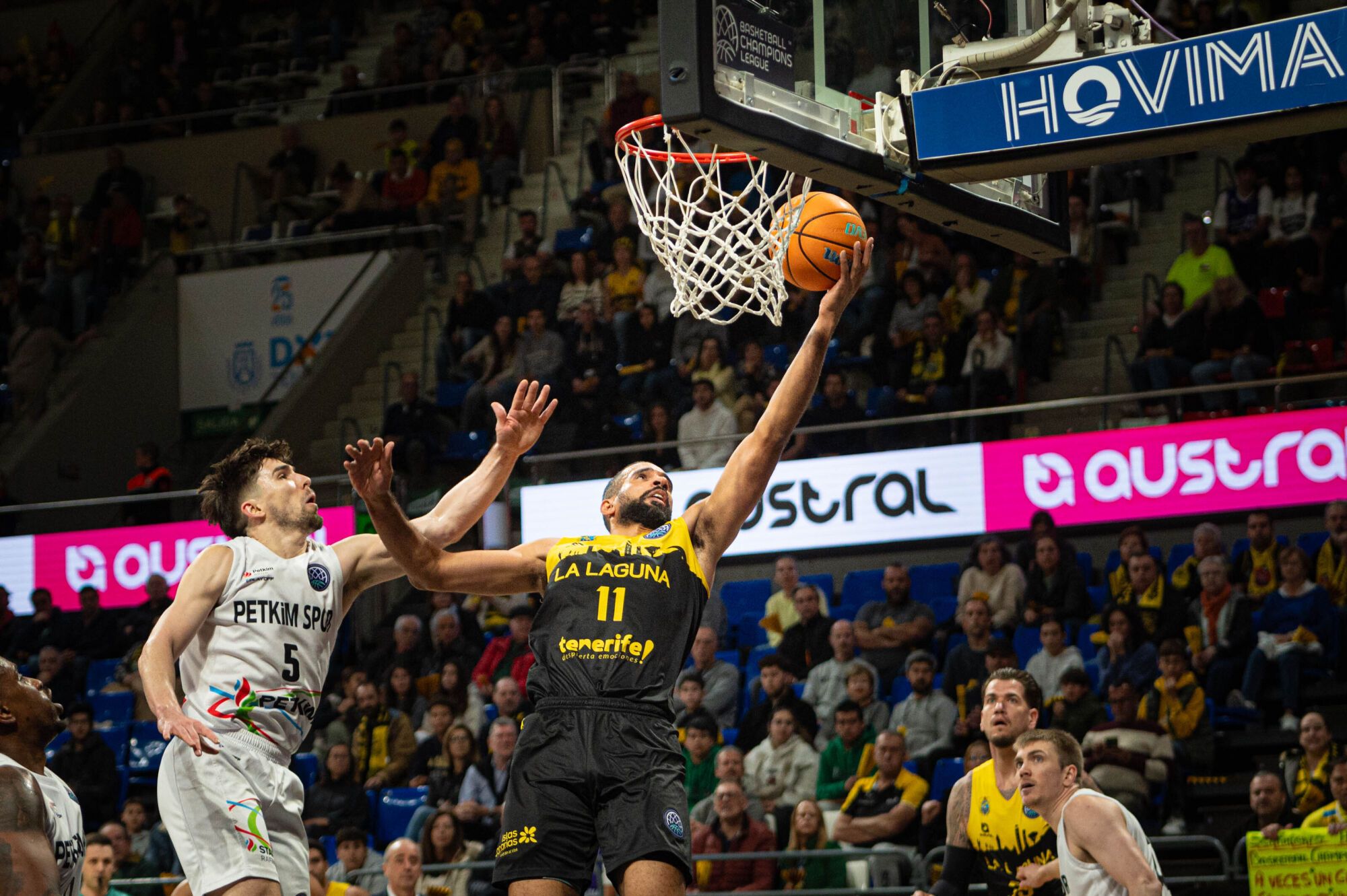 Basketball Champions League: La Laguna Tenerife - Aliaga Petkim Sport 