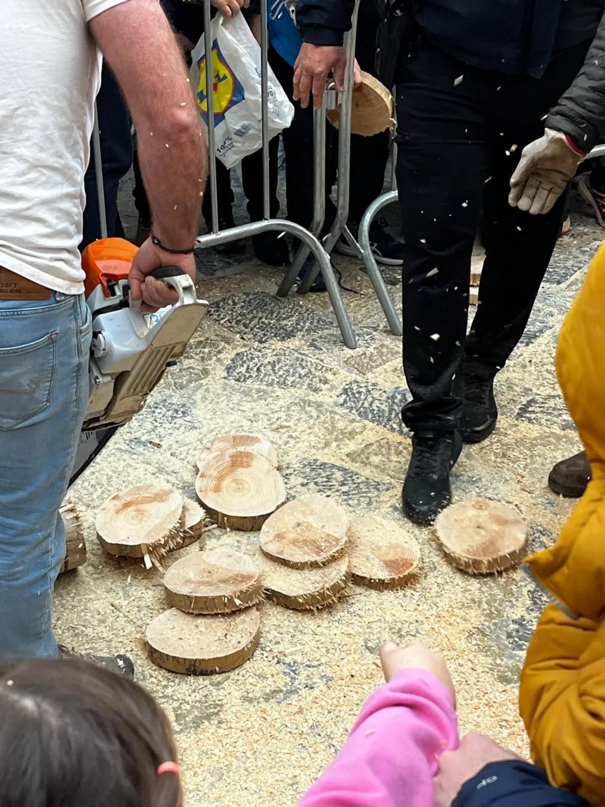 Las imágenes de la retirada del Pi de Sant Antoni de Pollença