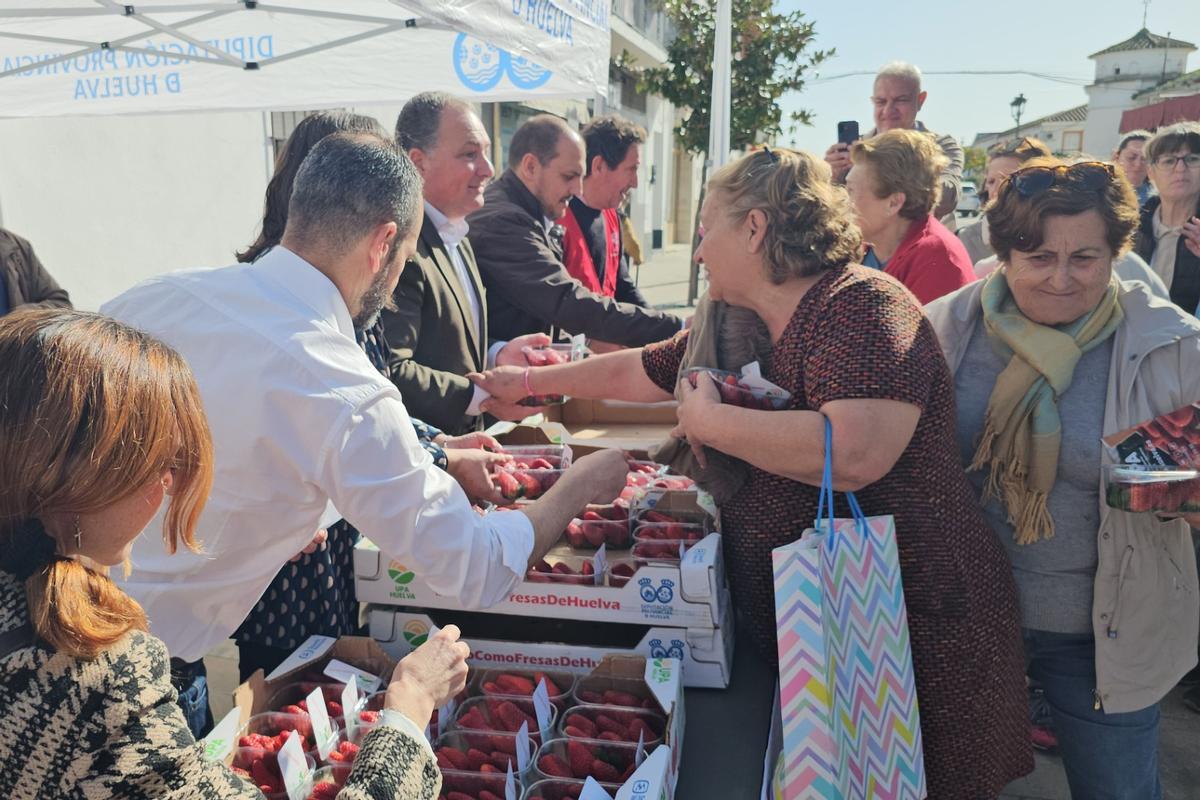 Reparto de fresas en Adamuz este miércoles.