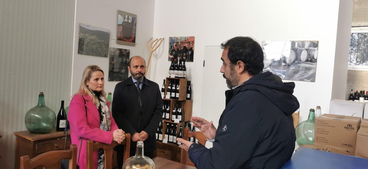 Visita a Pura Viña