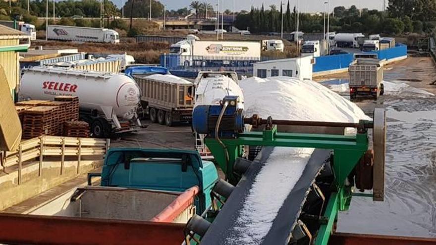 Imagen de la zona de carga de sal de camiones en el interior de las instalaciones de la salinera el pasado viernes, cuando atendió a más de 70 camiones.