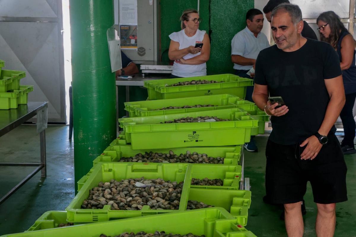 Los compradores acuden a Vilaxoán para compar almeja de Carril.