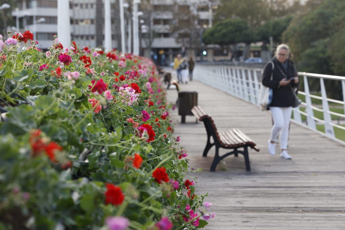 Comienzan a replantar el Puente de las Flores