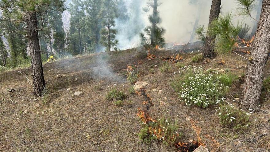 No hay un incendio en la cumbre de Gran Canaria: son quemas prescritas