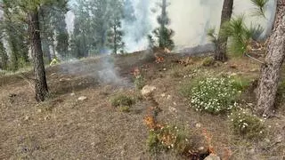 No hay un incendio en la cumbre de Gran Canaria: son quemas prescritas