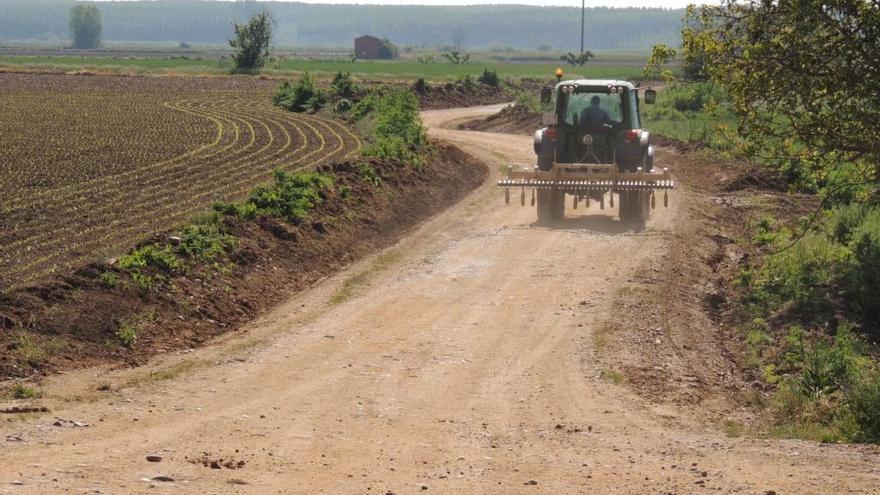 Tractor avanza por un camino.