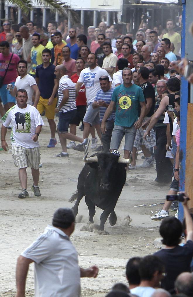 Encierro de toros embolados y 14 reses cerriles para Sant Pere 2024