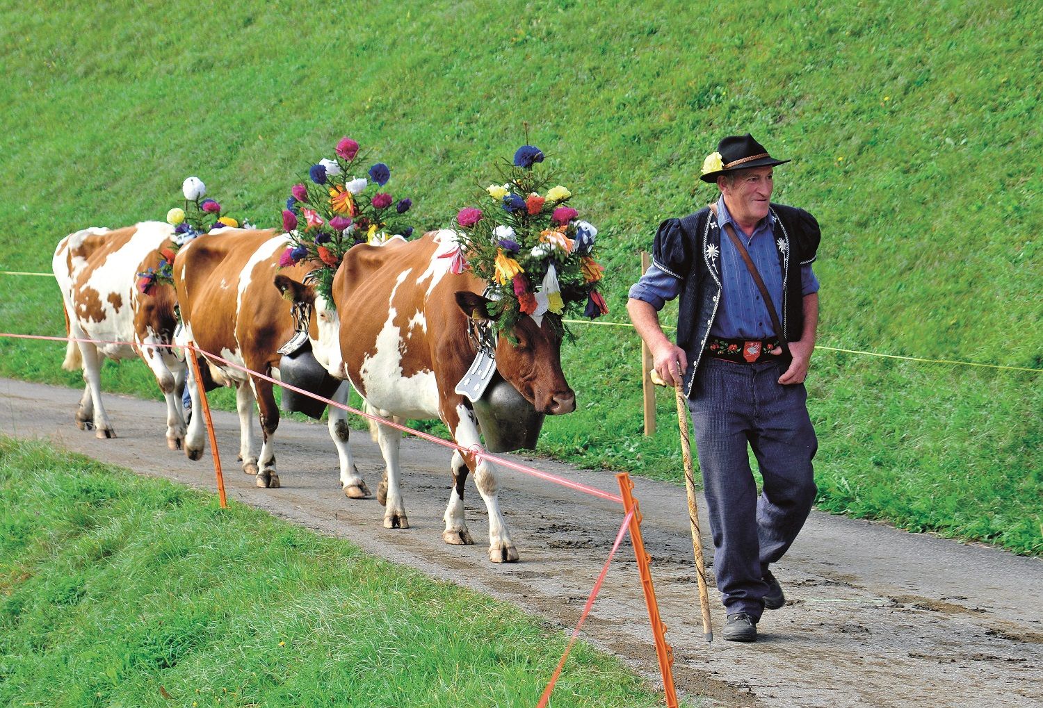 Fiesta La Désalpe en Gruyères.