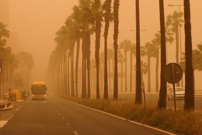 La Aldea - Agaete- Las Palmas de GC:. Incendio Tasarte y calima  | 23/02/2020 | Fotógrafo: José Carlos Guerra