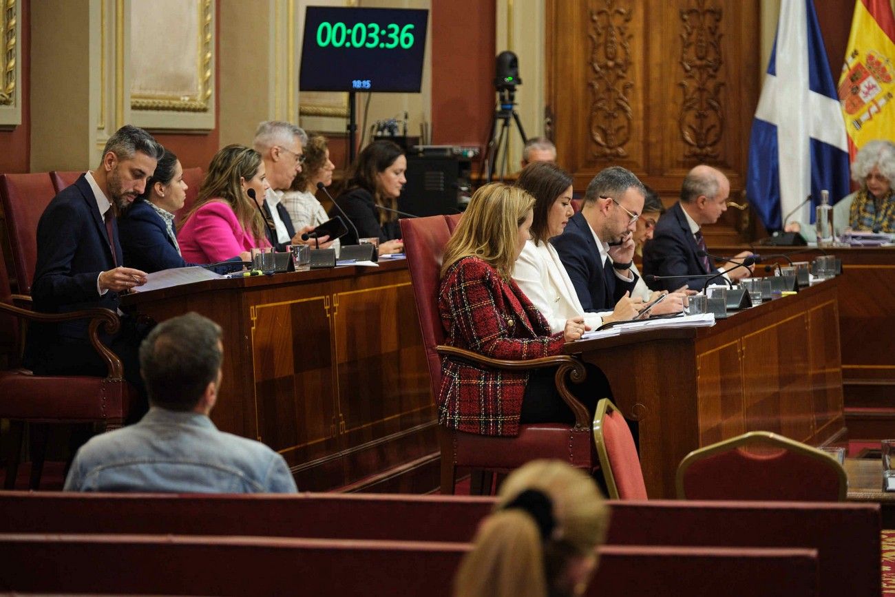 Pleno del Ayuntamiento de Santa Cruz de Tenerife (26 de enero de 2024)
