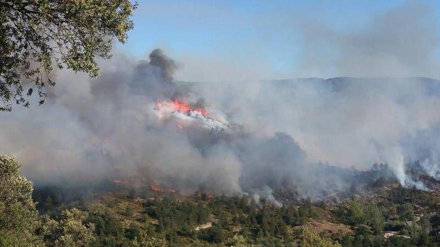 Prealerta roja por incendios forestales en Bajo Ebro, Jiloca y Rodeno