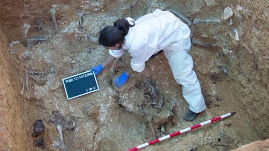 Hallan los restos de doce represaliados del franquismo en la fosa 113 de Paterna