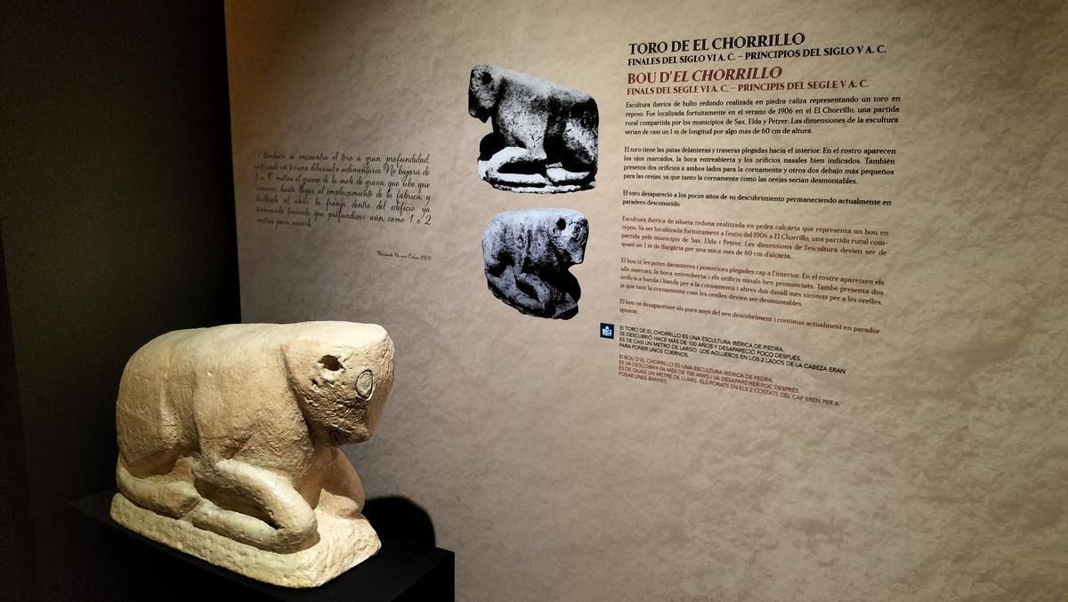 La réplica del Toro de El Chorrillo en el Museo de Petrer.