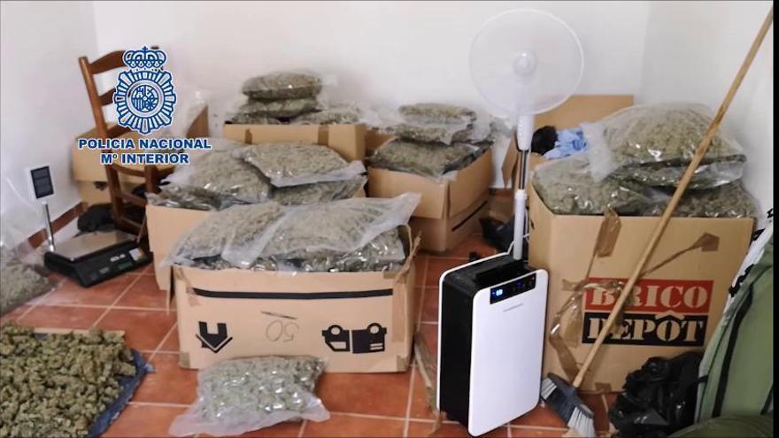 Cuatro albaneses detenidos en Vélez por producir marihuana